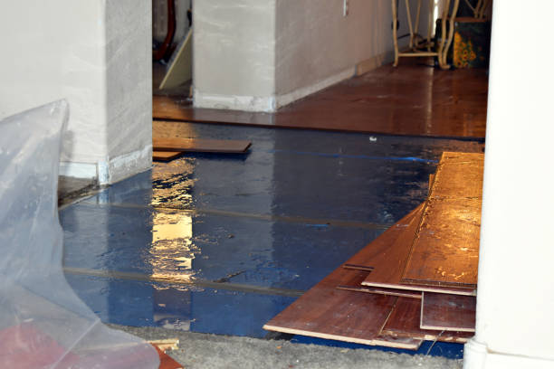 Professional Water Damage Restoration technician working in Ostrander, MN